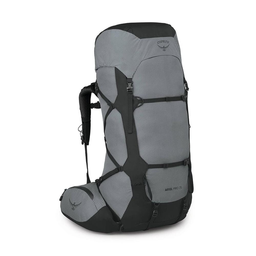 Osprey Ariel Pro 75 Women's Backpack Silver Lining M/L 