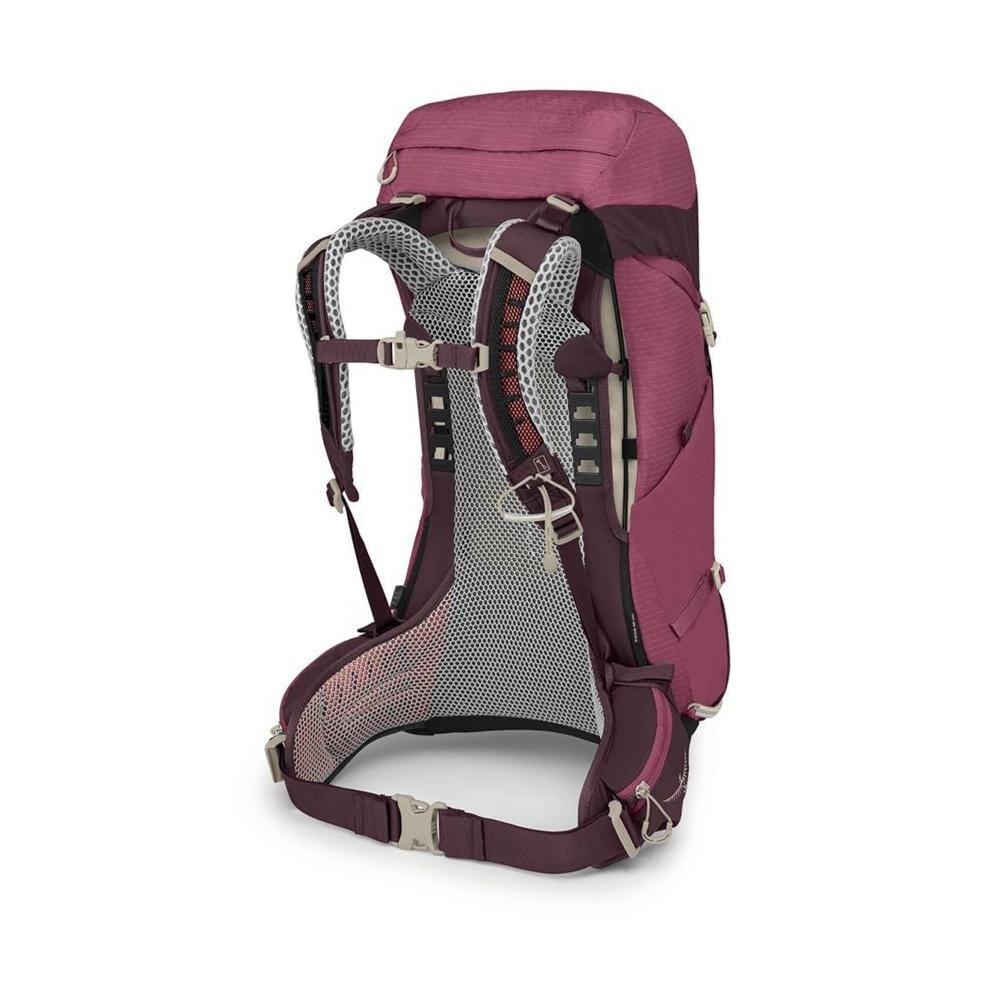 Osprey Sirrus 26 Women's Hiking Backpack Elderberry Purple/Chiru Tan 