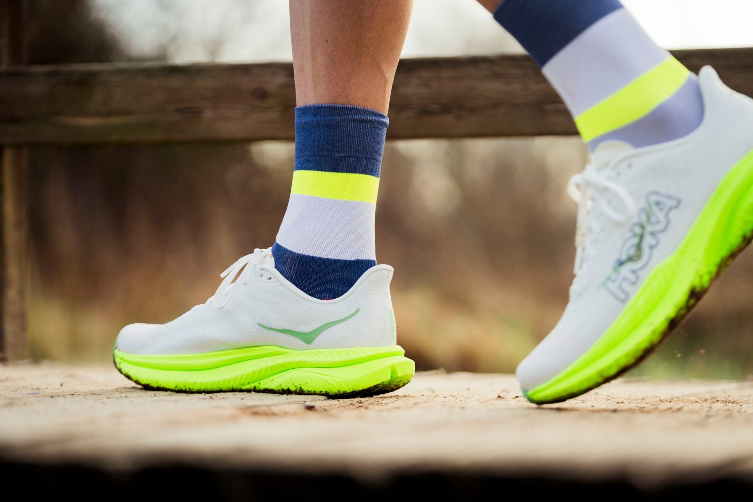Incylence Running Bands Zucchero Canary Socks 