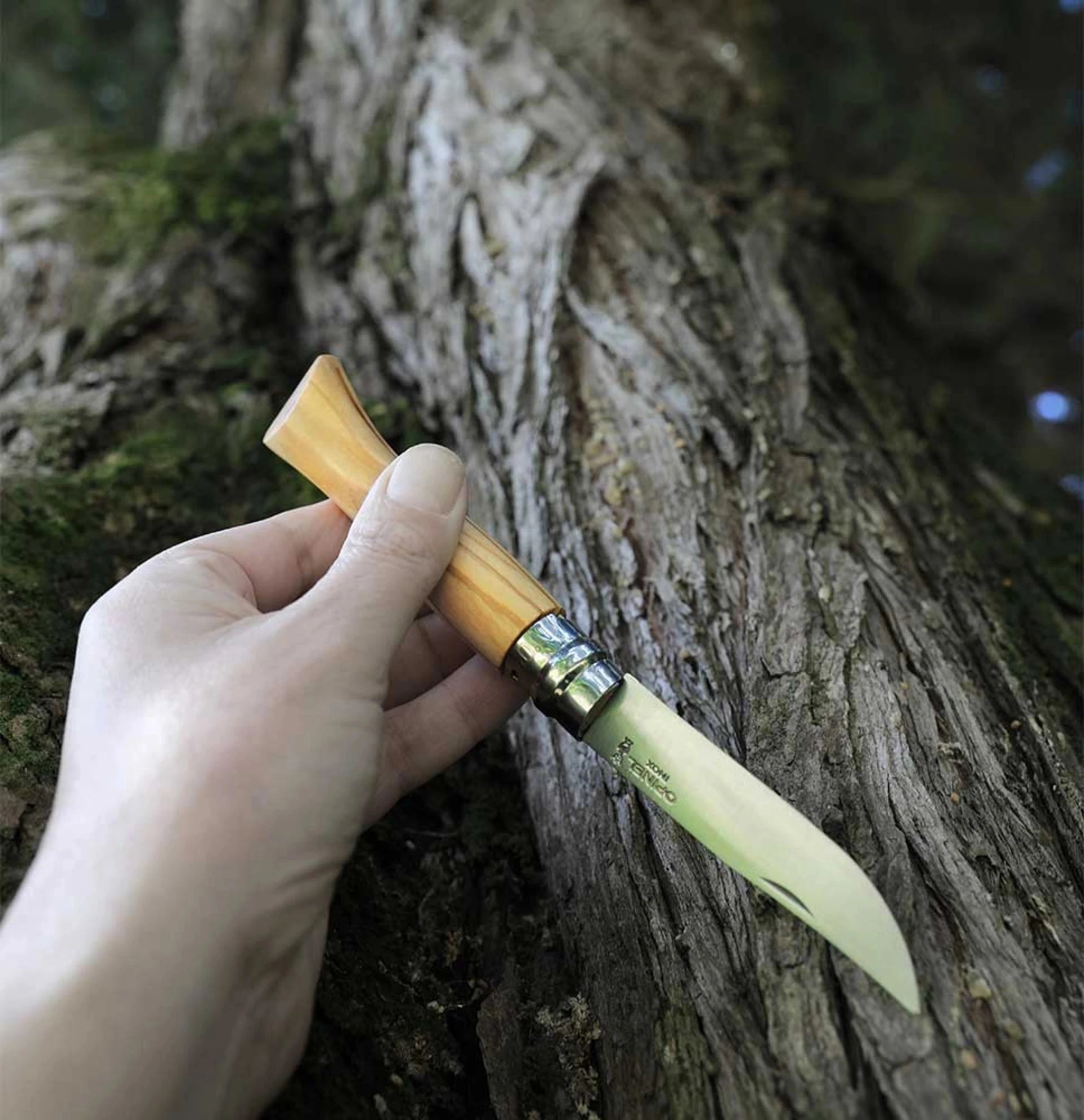 Opinel Pocket Knife N°09 Olive Wood 