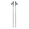 Black Diamond Distance Carbon Z Trekking Poles (1 Pair) (2025) 