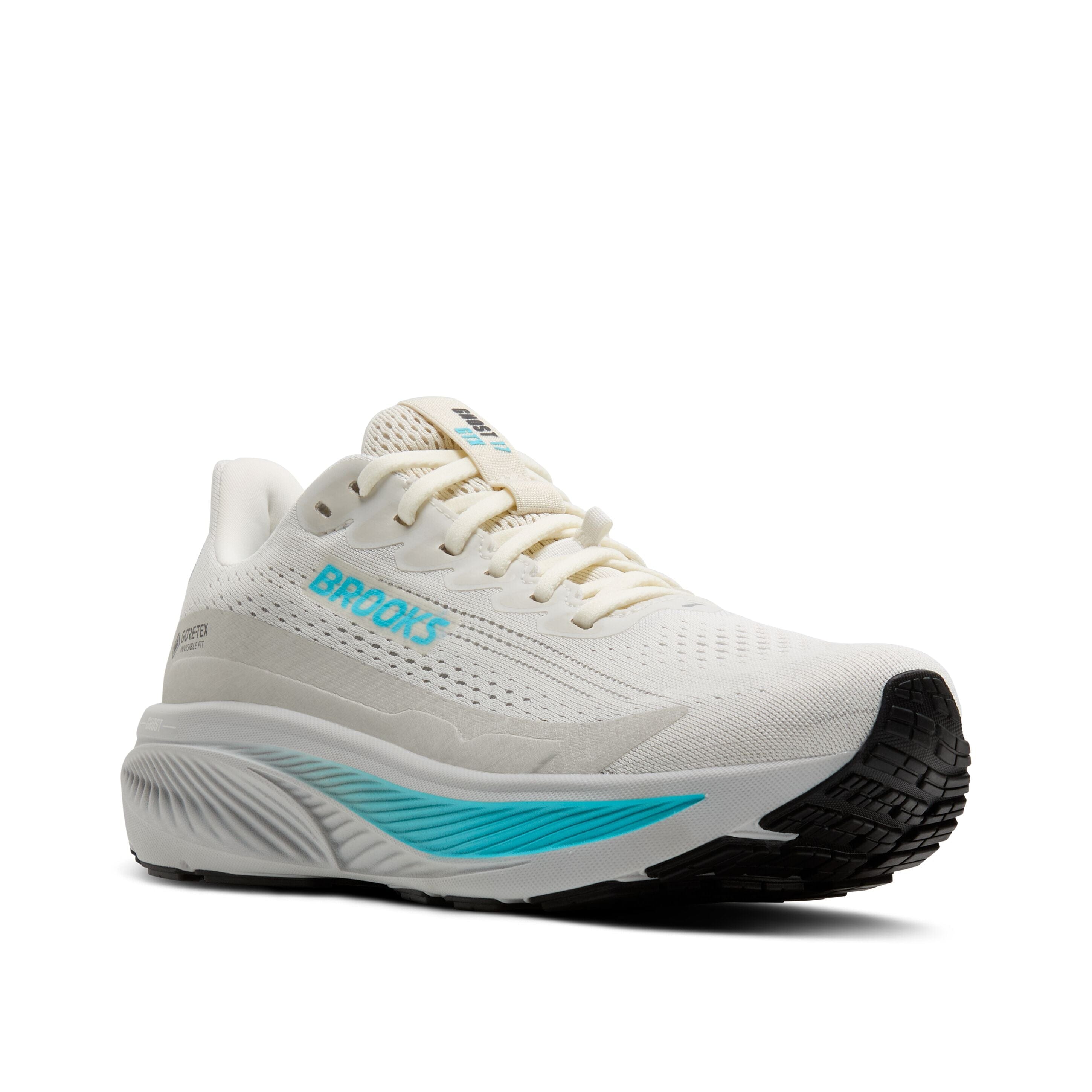 Brooks Ghost 17 GTX Women's Road Running Shoes 