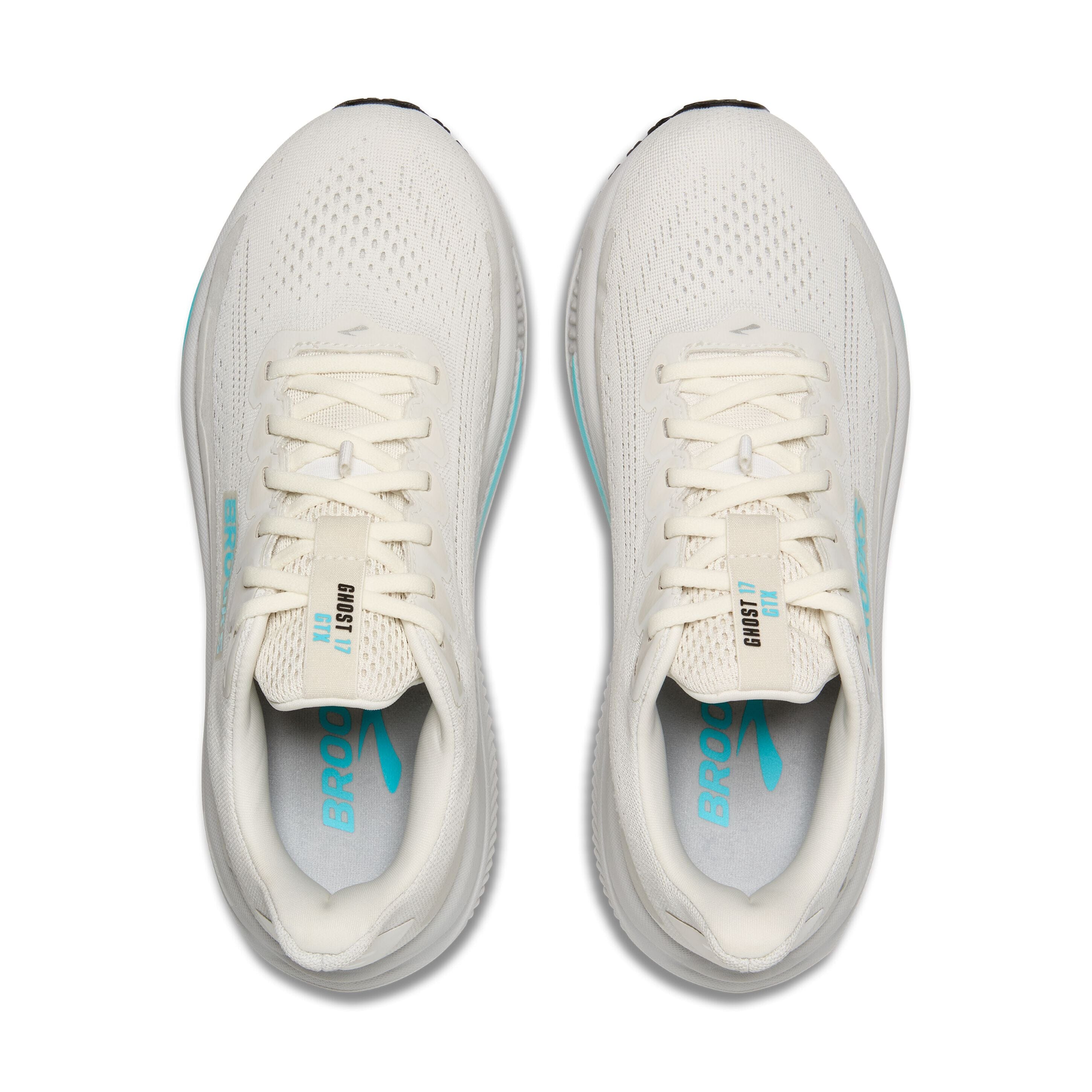 Brooks Ghost 17 GTX Women's Road Running Shoes 