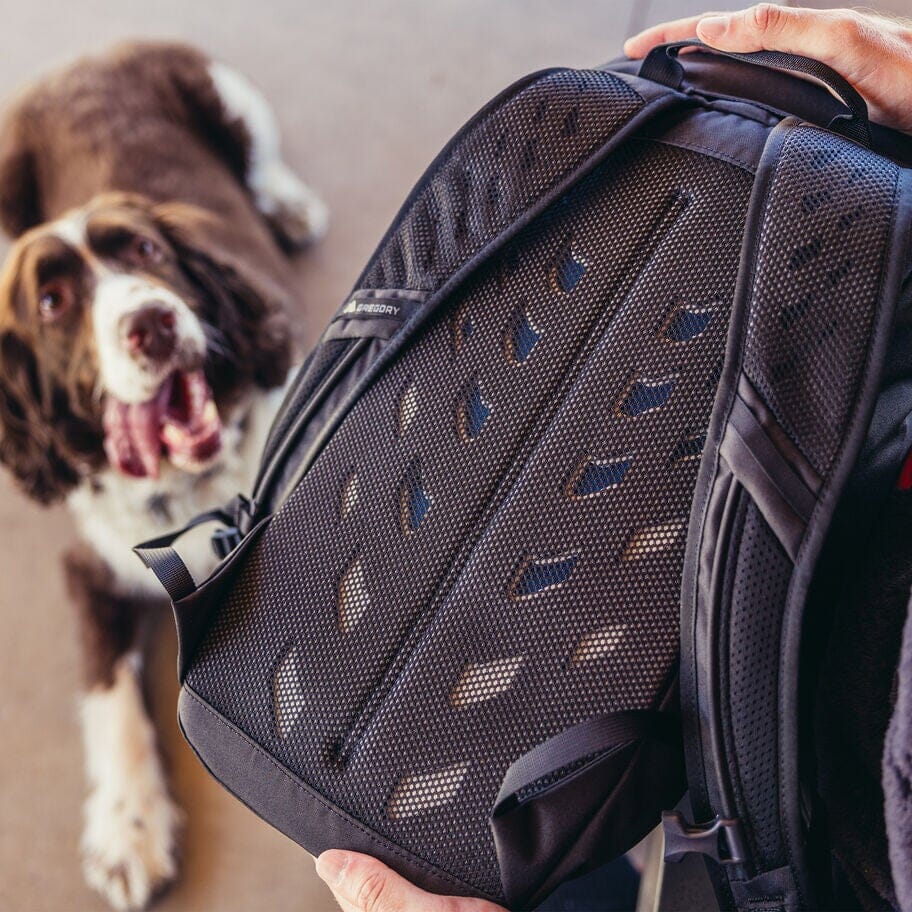 Gregory Nano 16 Backpack 