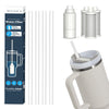 WaterH PureSip Adapt Filtration Upgrade Kit – Compatible with WaterH Vita & Leading Water Bottles 4 staws & 3 filters 