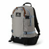 Gregory All Day V2.1 Backpack (24L) Light Grey/Blue Grey 