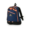 Gregory Fine Day V2 Backpack (18L) Deep Navy/Pink 