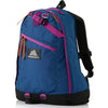 Gregory Day Backpack Blue/Purple 