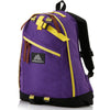 Gregory Day Backpack Purple/Yellow 