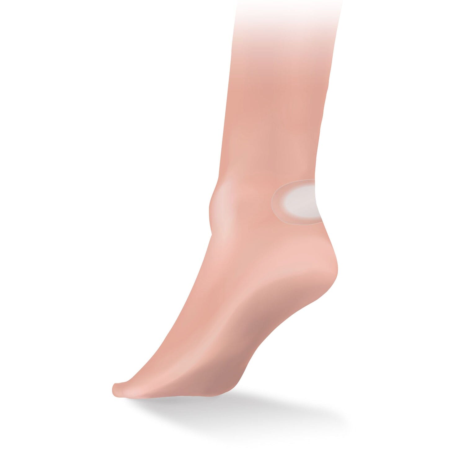 Lifesystems Blister Plasters 6 Pack 