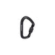 Black Diamond HotForge Screwgate Carabiner Black 