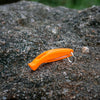 Lifesystems Echo Whistle 