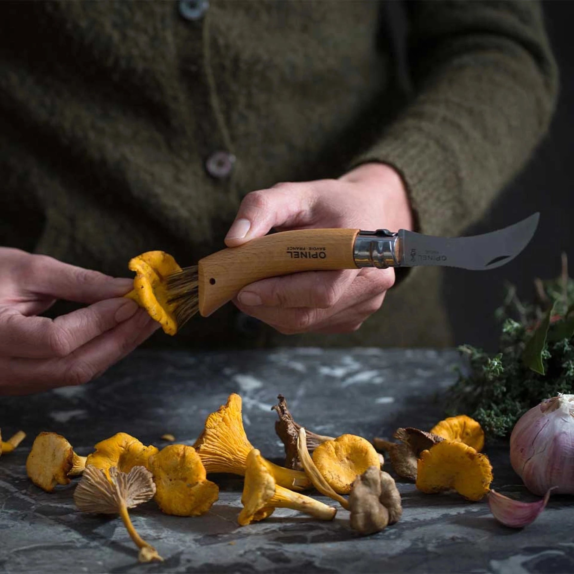 Opinel Pocket Knife N°08 Mushroom 