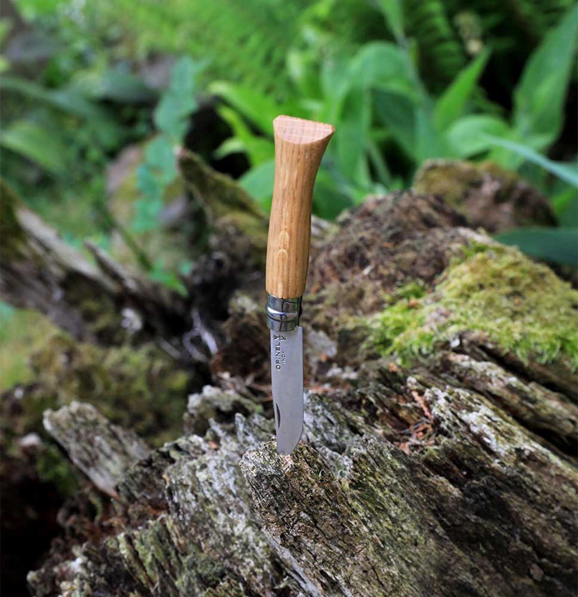 Opinel Pocket Knife N°08 Oak 