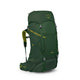 Osprey Ace 50 Youth Backpack (2025) Green Canopy/Matcha Green 
