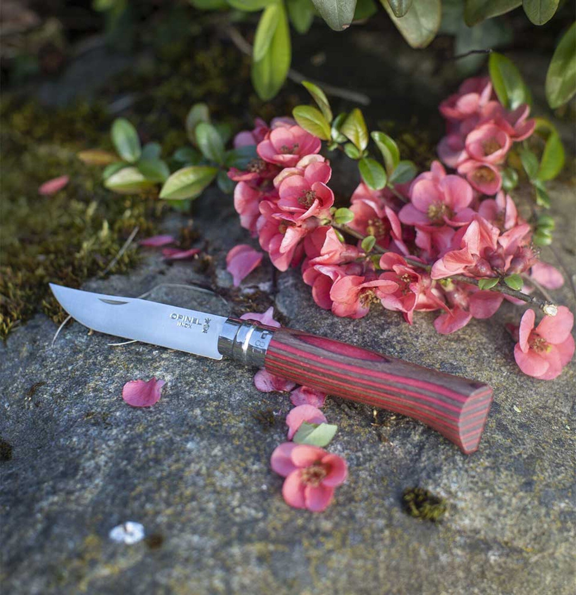 Opinel Pocket Knife N°08 Red Laminated Birch 
