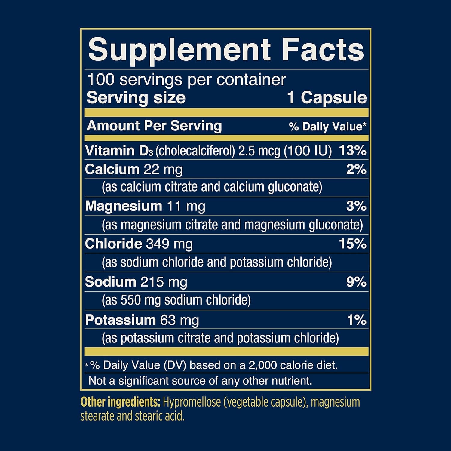 SaltStick Caps 100ct Bottle 