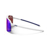 Julbo Intensity Sunglasses 