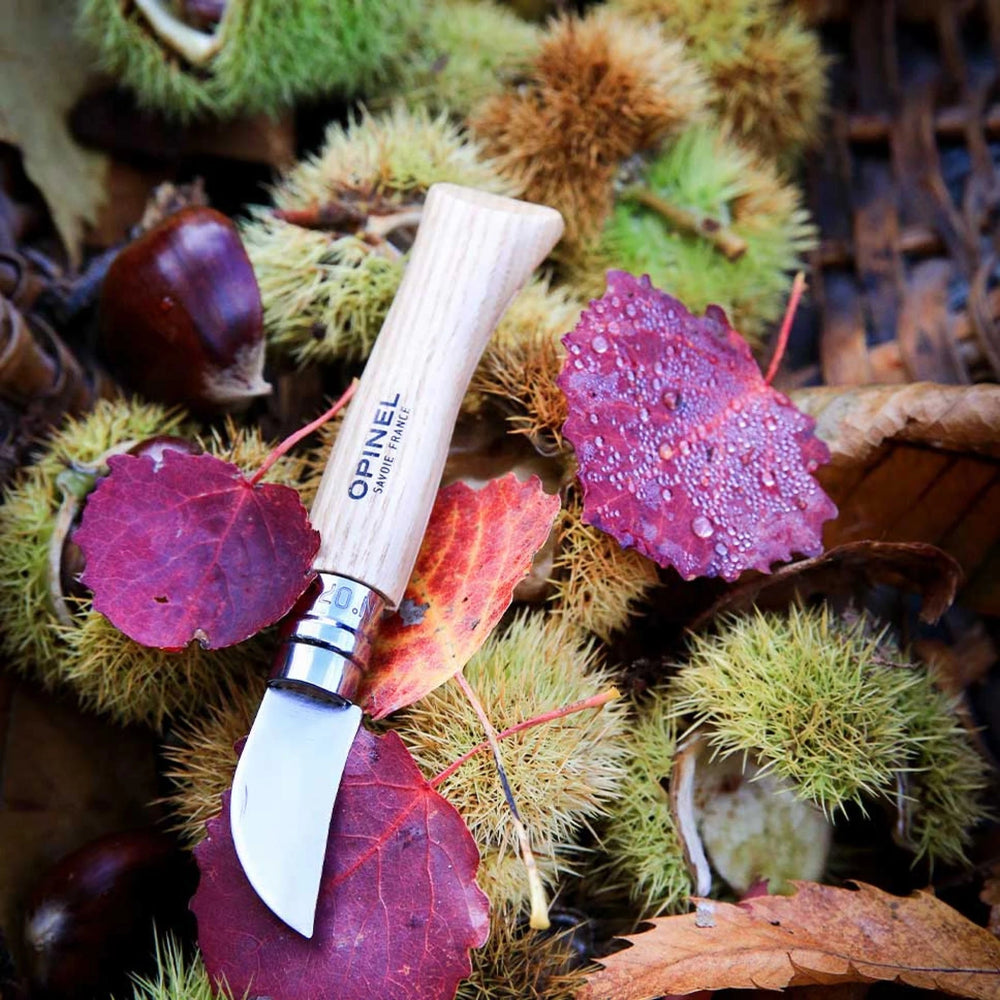 Opinel Pocket Knife N°07 Chestnuts, garlic and pitting 