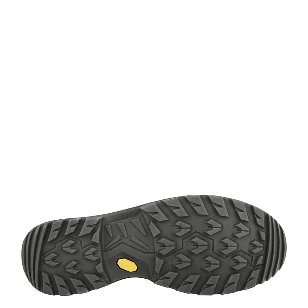 Lowa Men's Renegade EVO GTX Mid Hiking Shoes 