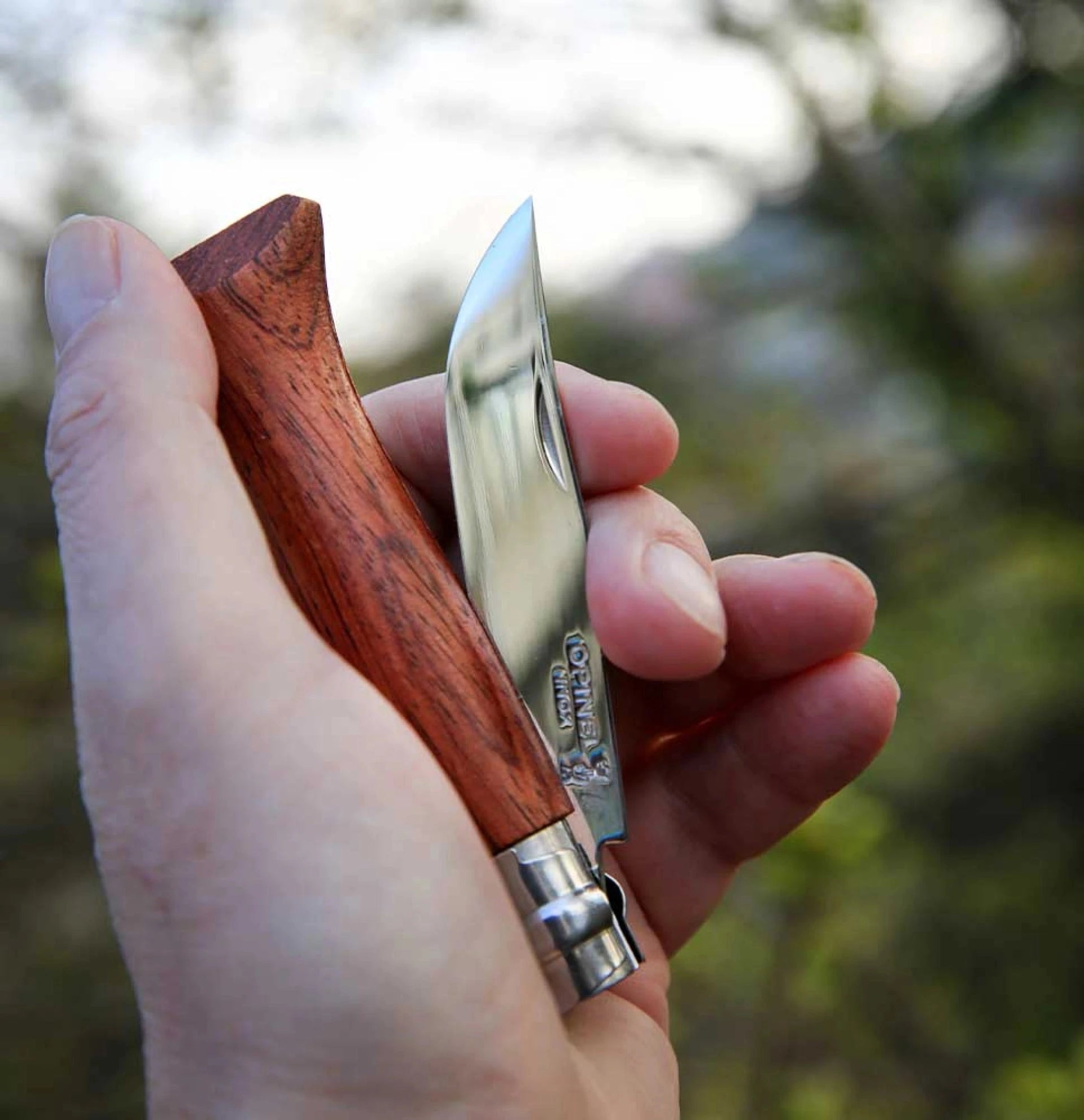 Opinel Pocket Knife N°06 Padouk Wood 