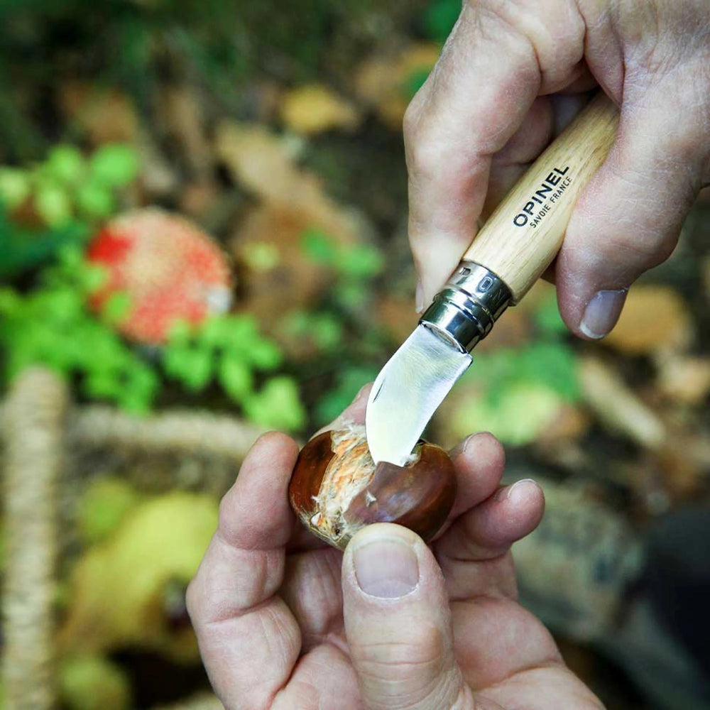 Opinel Pocket Knife N°07 Chestnuts, garlic and pitting 