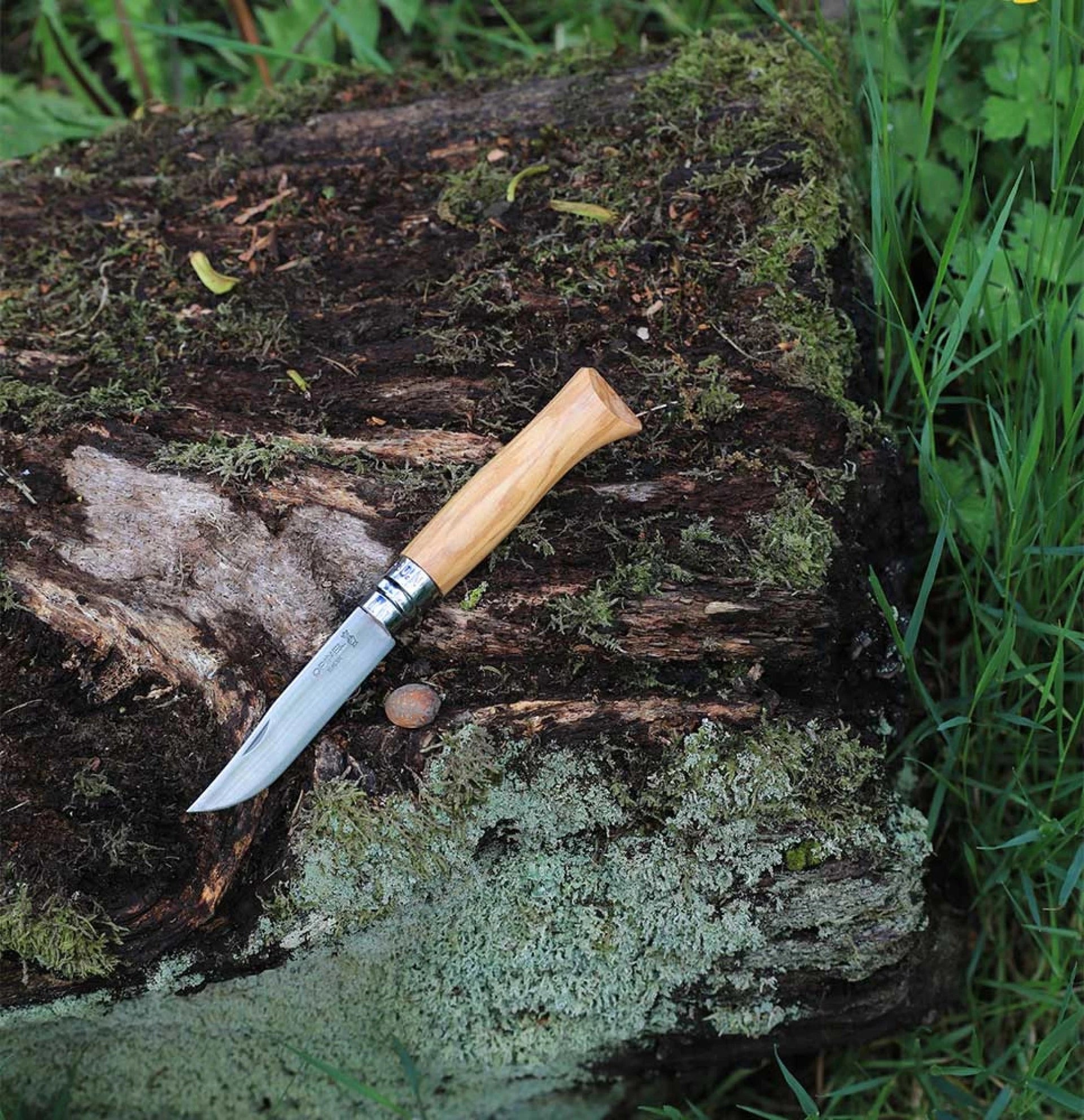 Opinel Pocket Knife N°08 Olive Wood 