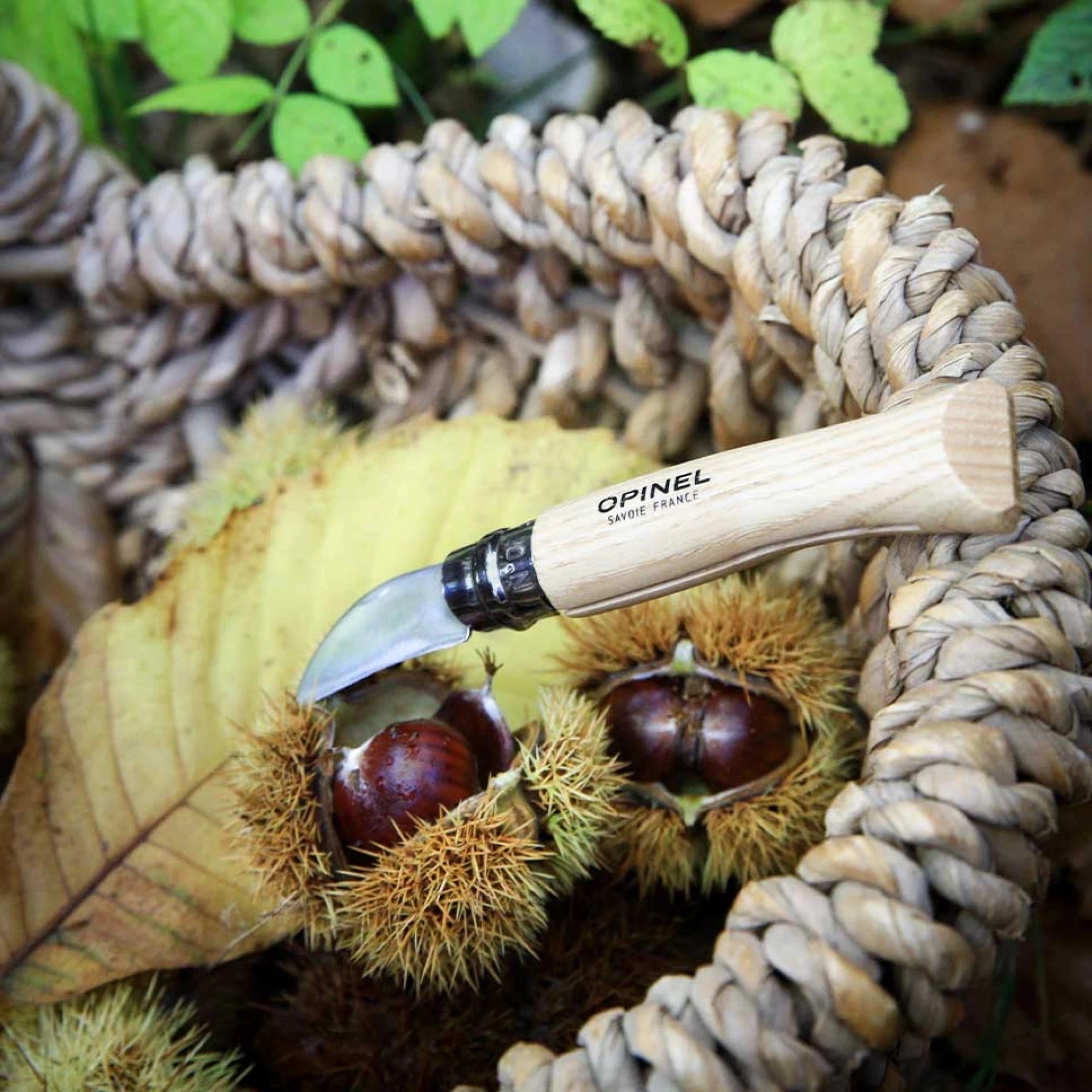 Opinel Pocket Knife N°07 Chestnuts, garlic and pitting 