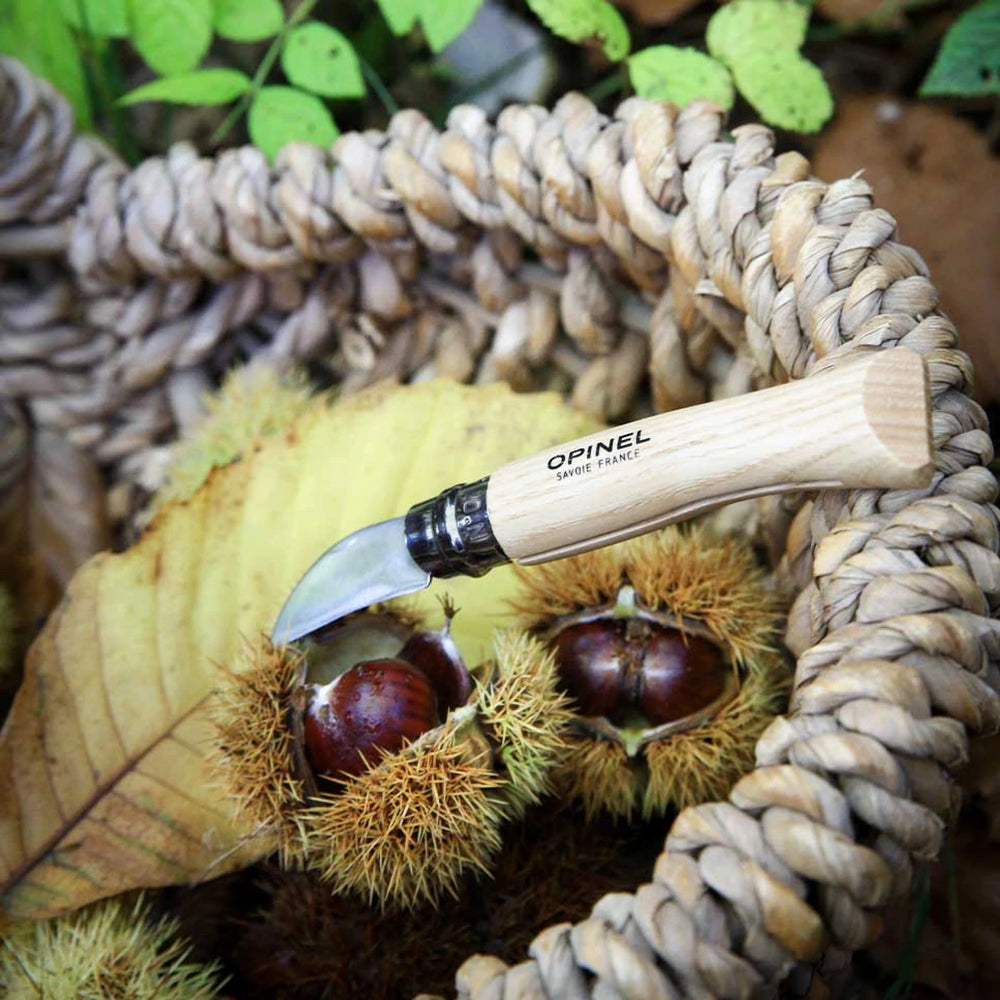 Opinel Pocket Knife N°07 Chestnuts, garlic and pitting 