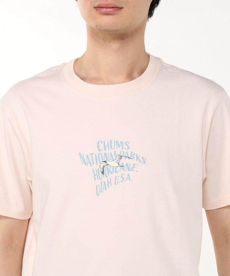CHUMS Anti-Bug Chums National Parks T-shirt Men's 