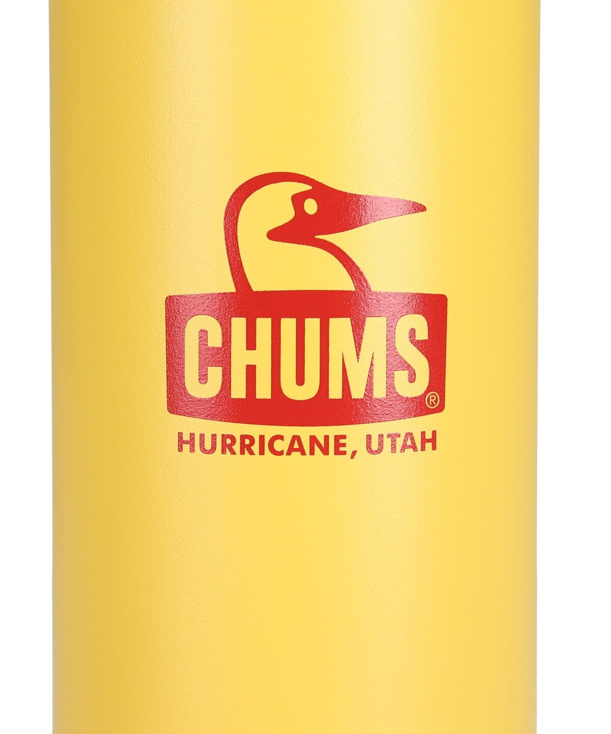 CHUMS Camper Wave Bottle 500ml 