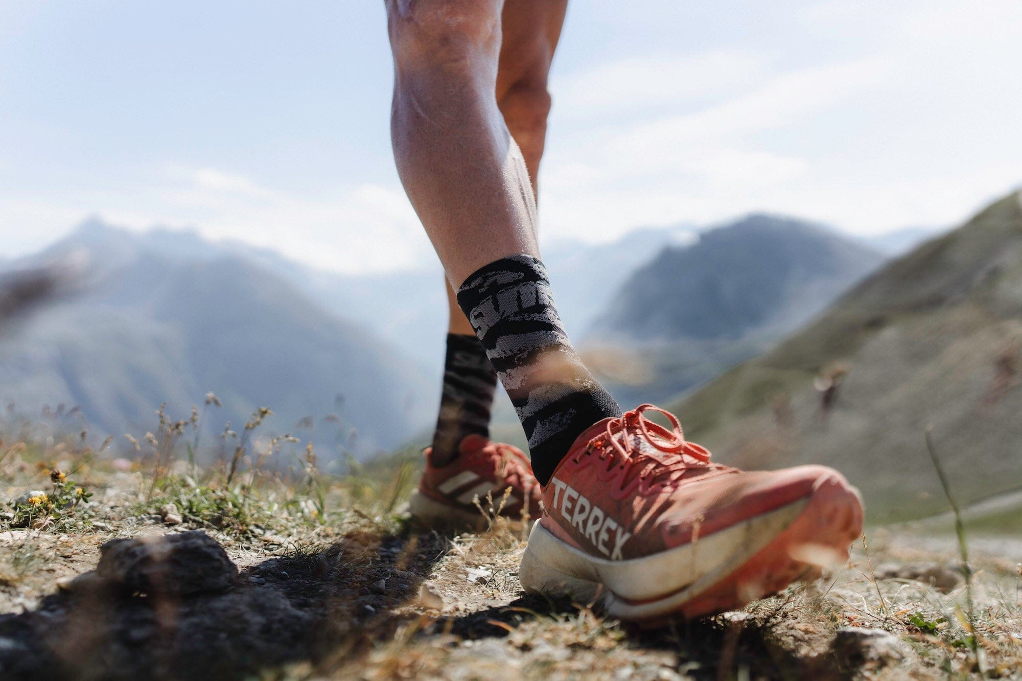 SUMS Ascenders Socks