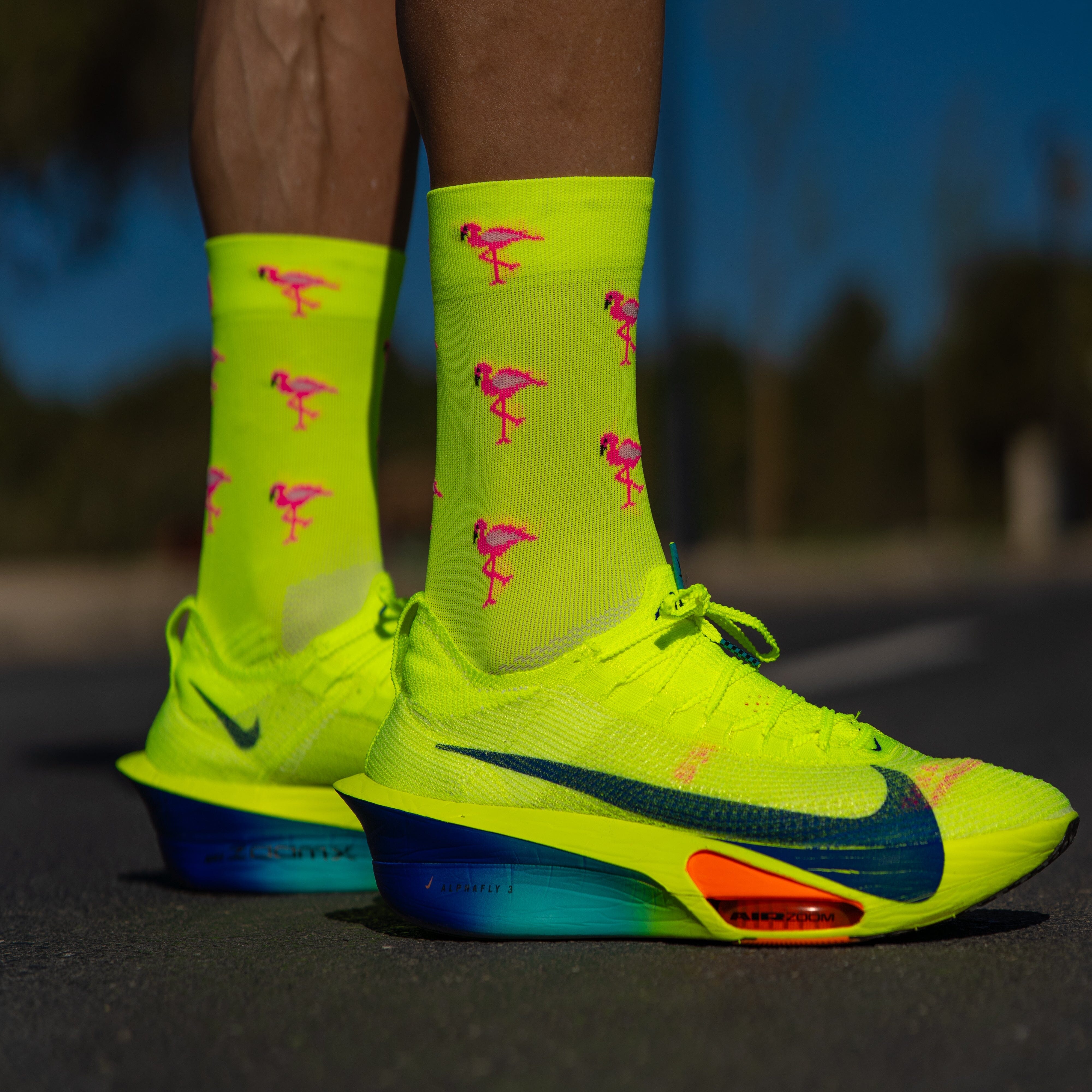SPORCKS Flamingo - Running Socks 