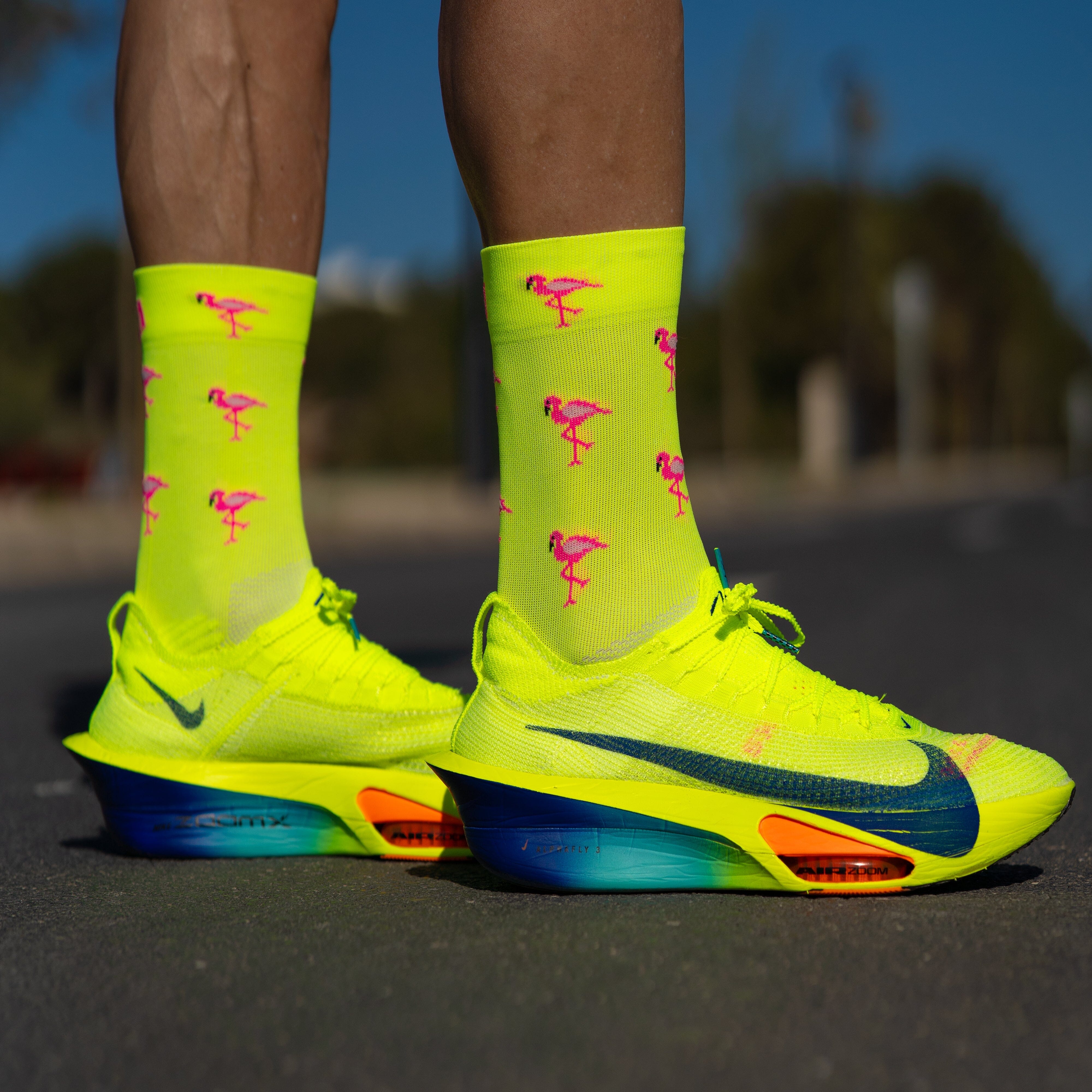 SPORCKS Flamingo - Running Socks 