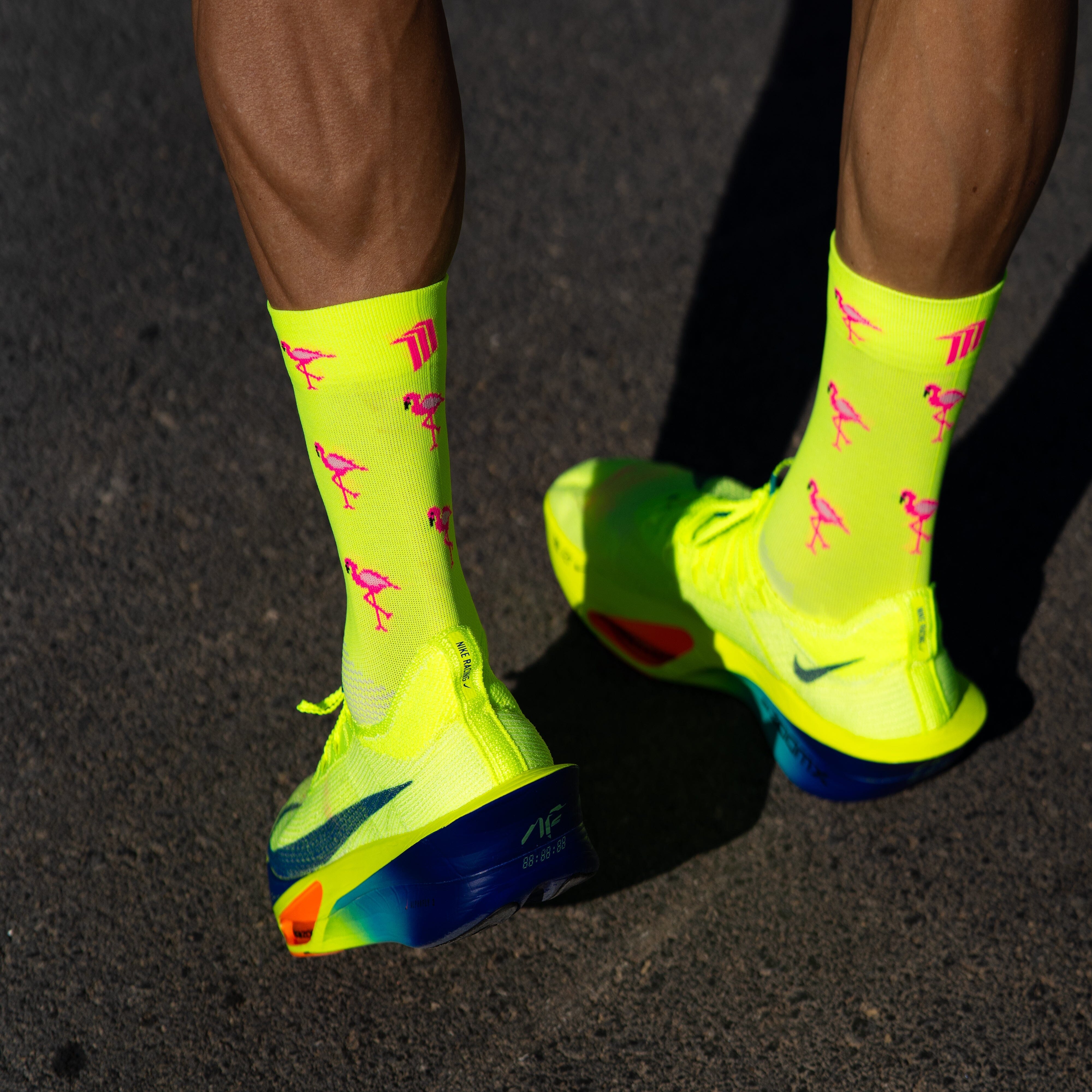 SPORCKS Flamingo - Running Socks 