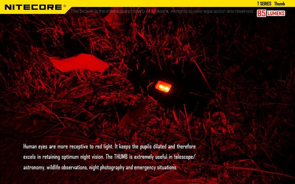 Nitecore Thumb 85 Lumen Clip on Rechargeable Flashlight, with Adjustable Angle 