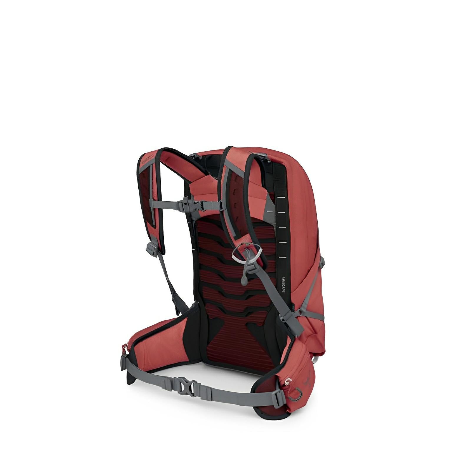Osprey Tempest 11 Women's Hiking | Multisport Backpack 2025 