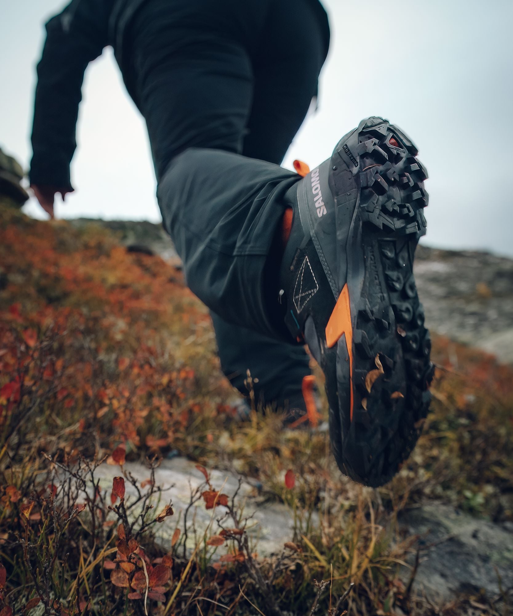 Salomon X Ultra Alpine GTX Men's Hiking Shoes 