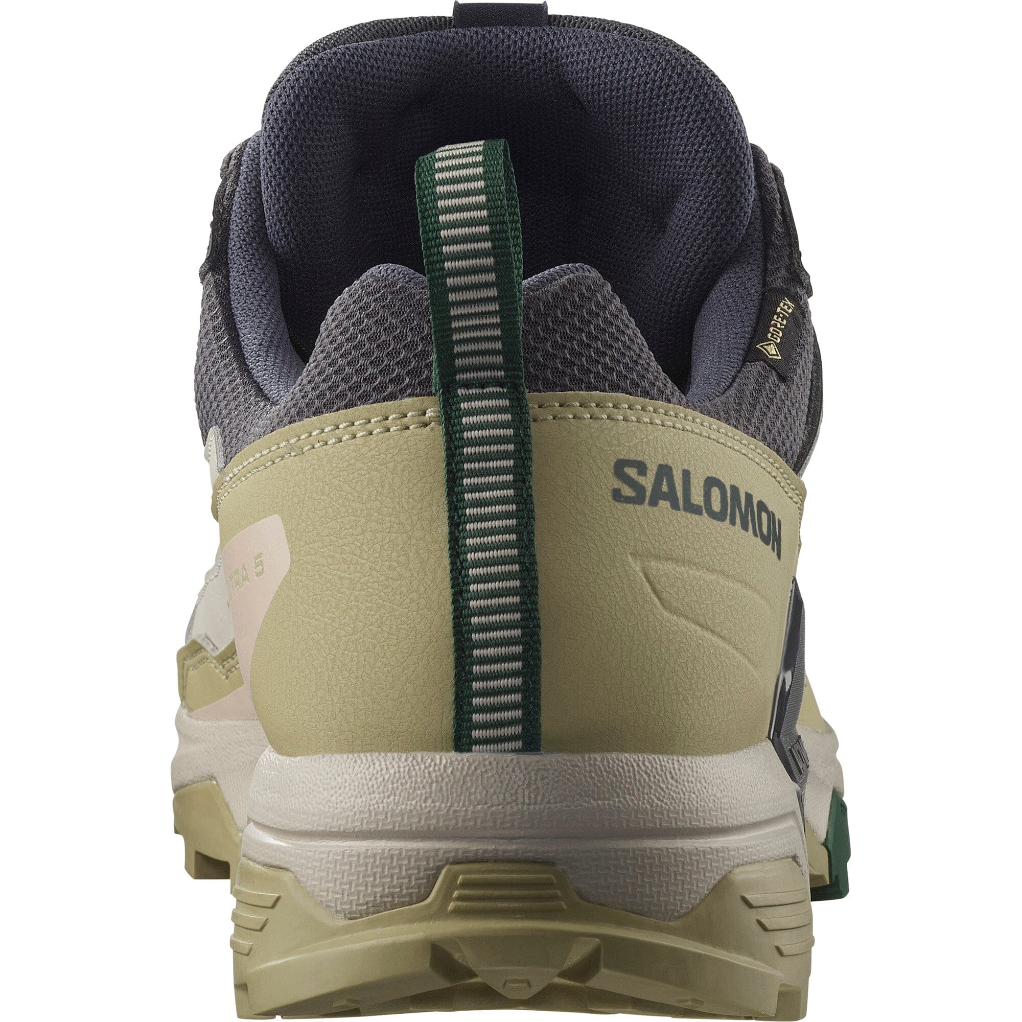Salomon X Ultra 5 GTX Men's Hiking Shoes 