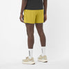 Salomon SHAKEout Core 5" Men's Shorts 