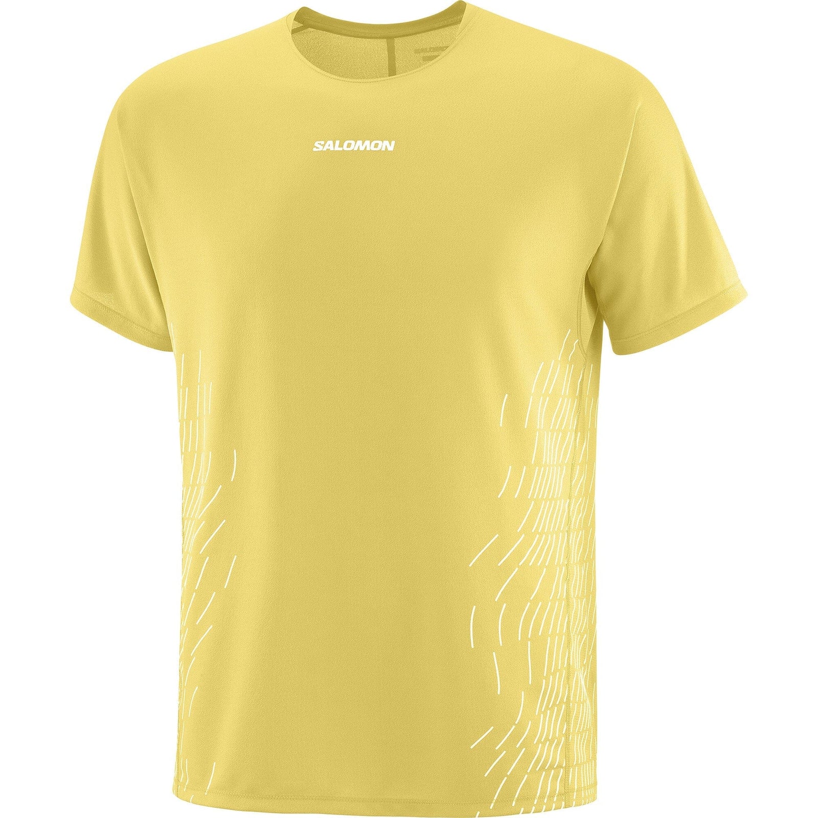 Salomon Sense Aero Graphic 男款短袖 T 卹 - 水芹綠/細白