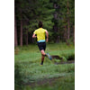 UltrAspire Plexus 2.0 Waist Pack 
