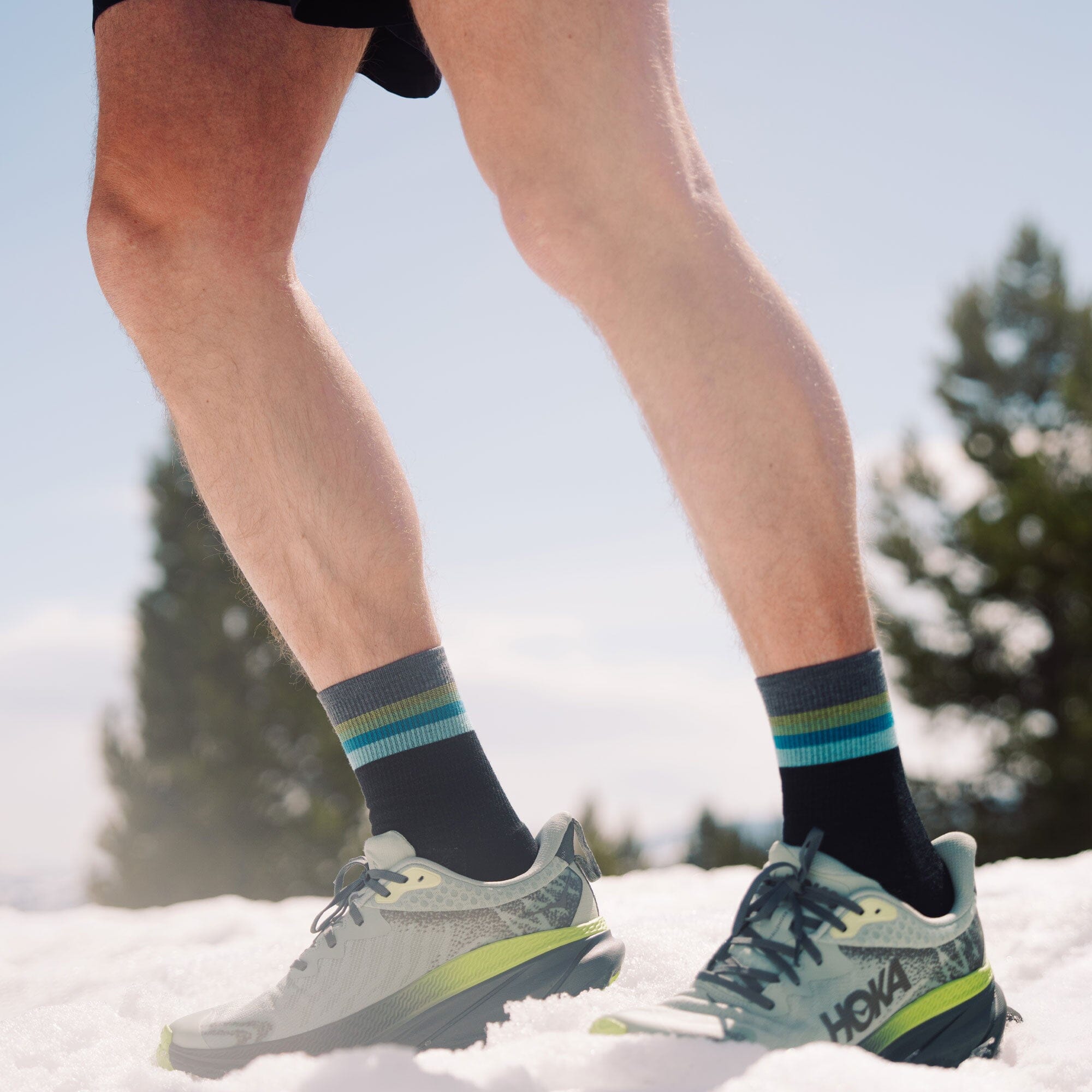 Feetures Merino 10 Max Cushion Mini Crew Socks 