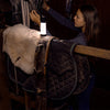 Ledlenser Lantern ML6-Warm Light 