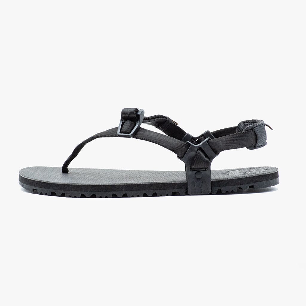 LUNA Middle Bear Winged Edition Sandals 