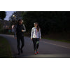Ledlenser Headlamp NEO3 