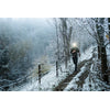 Ledlenser Headlamp NEO9R 