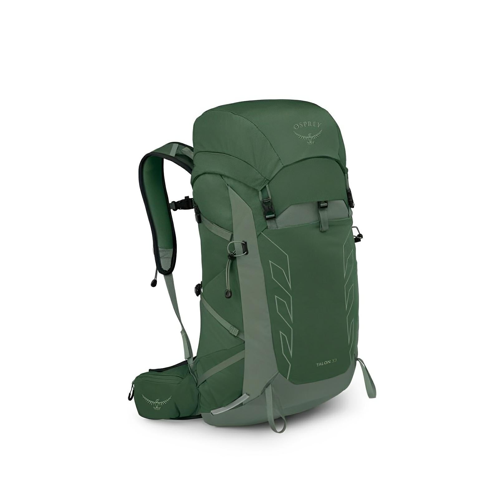 Osprey Talon 33 Men's Hiking | Multisport Backpack 2025 Green Canopy/Pine Leaf One Size 