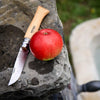 Opinel Blister N°09 pocket knife 