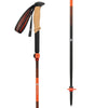 Black Diamond Pursuit Carbon FLZ Trekking Poles 